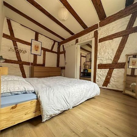 Nouvel Appartement, Le Colombage Heureux Sélestat Eksteriør billede