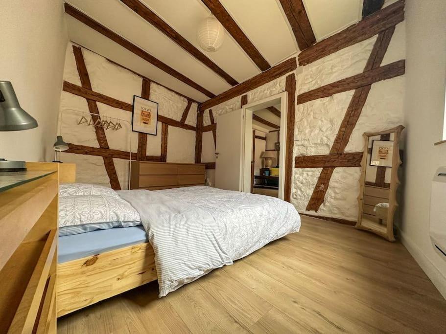 Nouvel Appartement, Le Colombage Heureux Sélestat Eksteriør billede