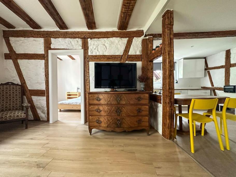 Nouvel Appartement, Le Colombage Heureux Sélestat Eksteriør billede