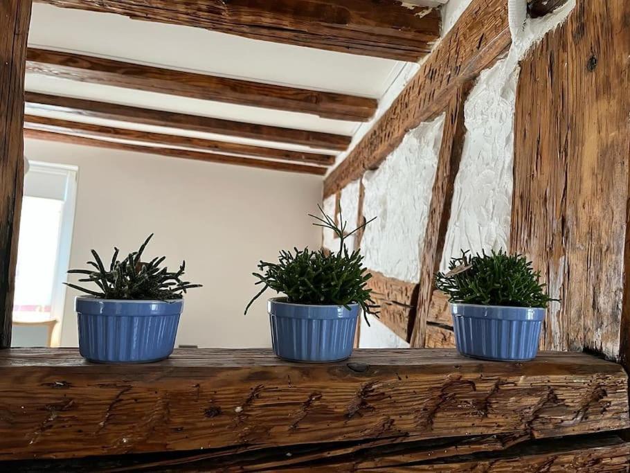 Nouvel Appartement, Le Colombage Heureux Sélestat Eksteriør billede