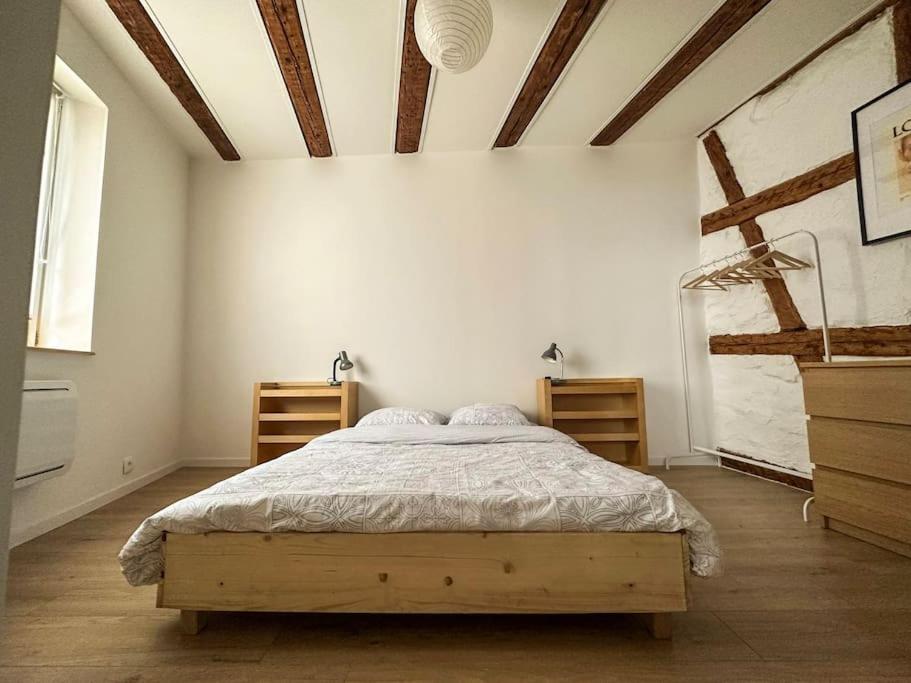 Nouvel Appartement, Le Colombage Heureux Sélestat Eksteriør billede