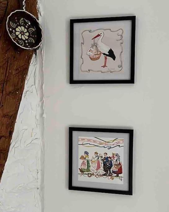 Nouvel Appartement, Le Colombage Heureux Sélestat Eksteriør billede