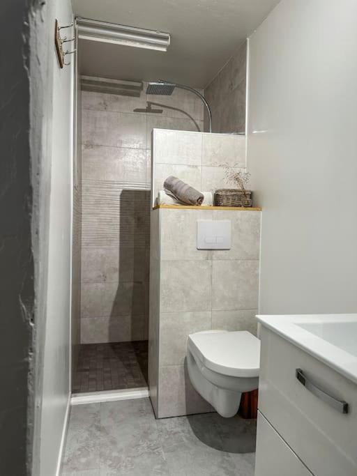 Nouvel Appartement, Le Colombage Heureux Sélestat Eksteriør billede